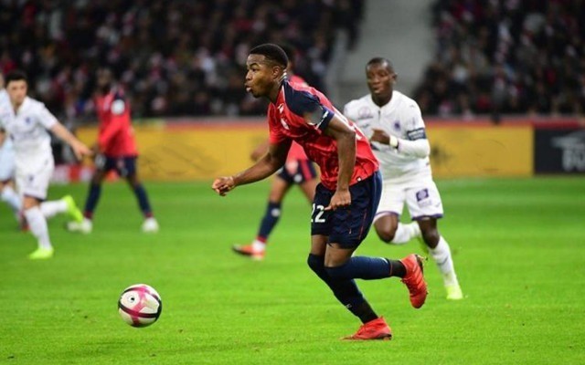 轻松好玩的国风收妖游戏《桃花师》，联动柳夜熙打造赛博妖灵幻想新宇宙