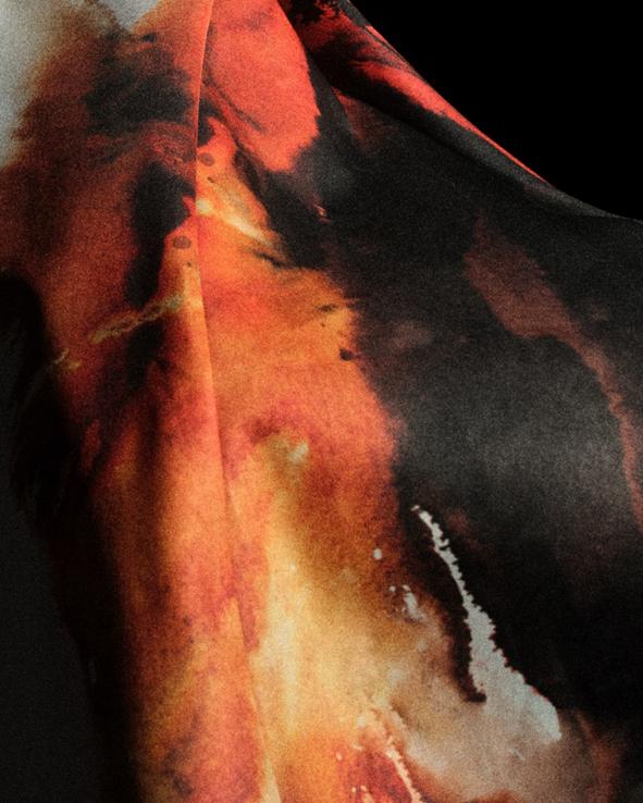 成度的图鉴 成度的图鉴